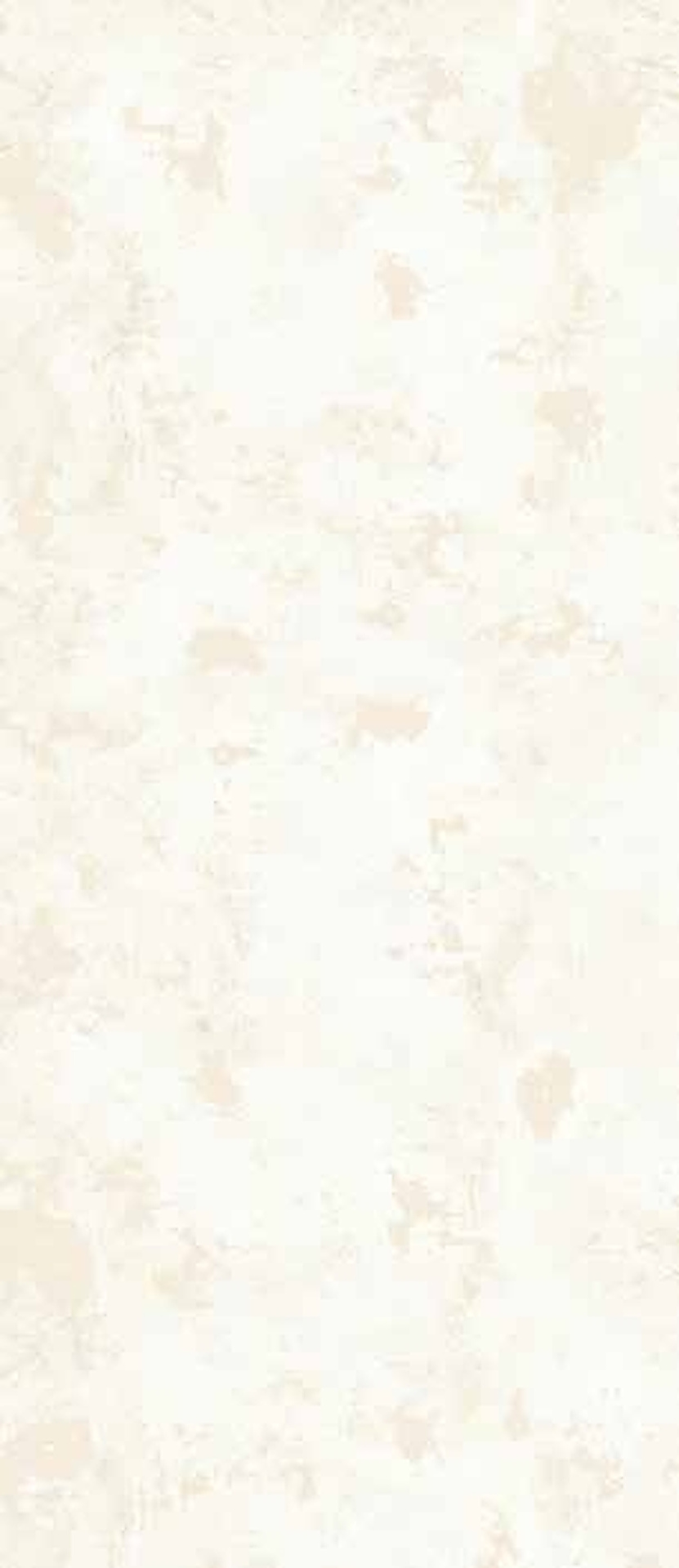 Luxury Cement Wit 120×280 xxl-slabs-tiles